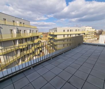 NEU - Erstbezug-Wohnung mit riesige Terrasse 45 m2 - Photo 1