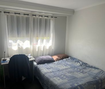 Close to Tauriko and Schools - Pyes Pa - Photo 5