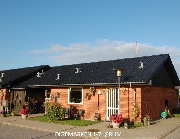 Ørum (Digemarken) - Photo 1