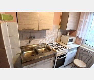 Gryfino - Фото 6