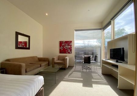 Fully Furnished Studio Apartment - Photo 2