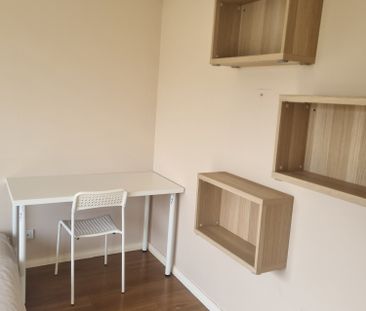 Seville Grove - Photo 5