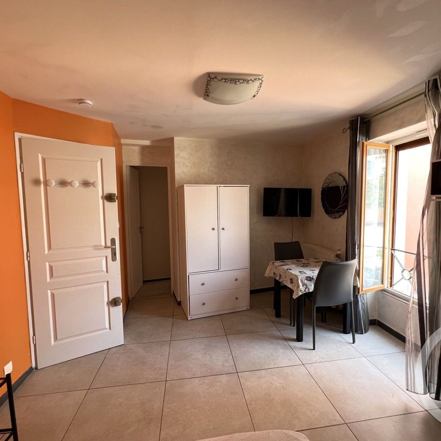 Location Appartement 1 pièce 19m² GRENOBLE 38000 - Photo 1