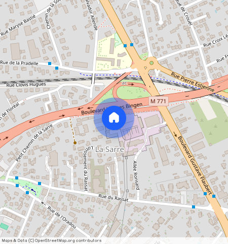 CLERMONT FERRAND (63100)