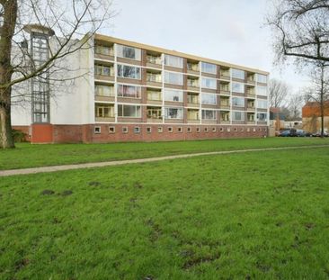 Leverkruidweg 0ong, 1508 WP Zaandam, Nederland - Foto 3