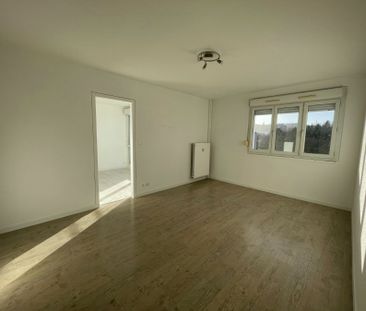 Appartement 2 pièces à Vandoeuvre-lès-Nancy - Photo 3