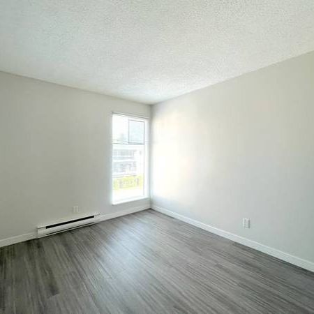 Spacious 2-Bedroom Apartment in Maple Ridge - Photo 3