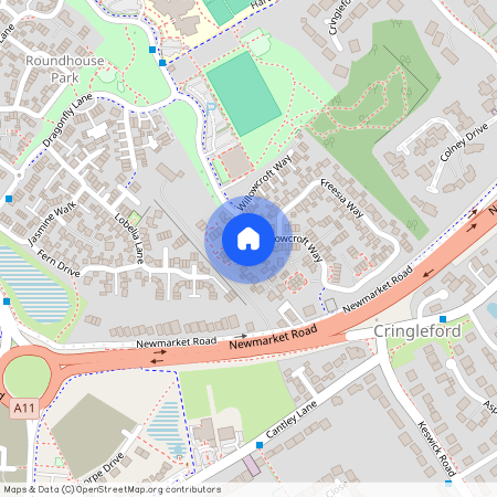 Viola Close, Cringleford, Norwich, Norfolk