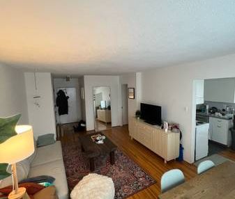 Large pet friendly 1 BED - Photo 3