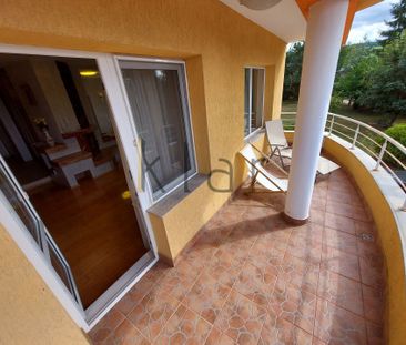 Vilă 8 camere, Făget, 400 mp utili, teren 2.412 mp, saună și jacuzzi - Fotografie 4