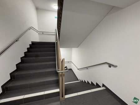 Ab sofort: Moderne 2-Zimmer-Wohnung mit Terrasse und Garten nahe U1 - Photo 3