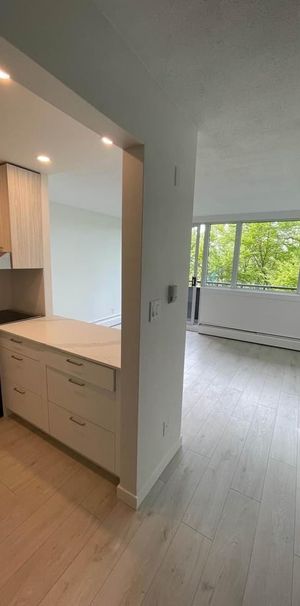 Camelia Court - Photo 1