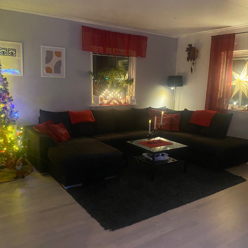 Backadalsgatan, Borås - Foto 1