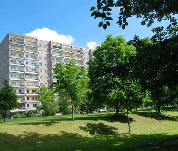 Singlewohnung mit Balkon zum fairen Preis - Foto 1