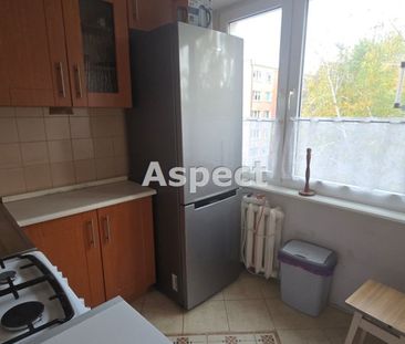 Tysiąclecia, Płock, - Фото 6