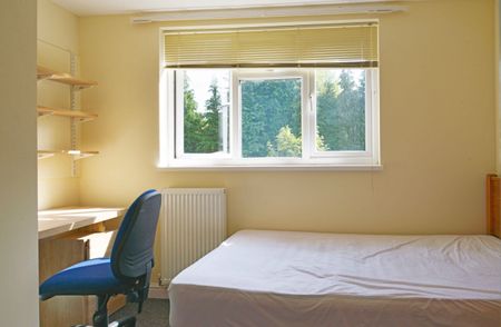 27 Croydon Road - Photo 5