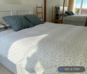 1 bedroom penthouse to rent - Photo 4