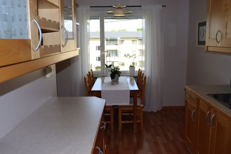 Regngatan, Uppsala - Photo 3