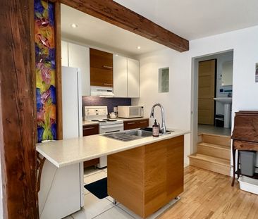 Superbe et grand studio face au Parc Lafontaine, équipé avec tous l... - Photo 2
