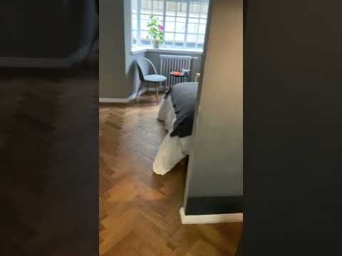 Studio Flat, Woburn Place, WC1H - Photo 1