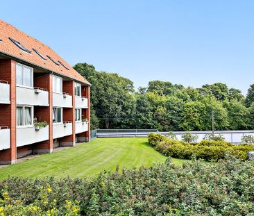 Afd. 21 Rosenvænget 9 - Foto 3