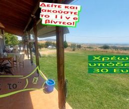 Διαμέρισμα για ενοικίαση - Βασιλικά, - Φωτογραφία 6