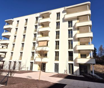 2.5 Zimmer, 53 m², 2. Stock - Photo 1