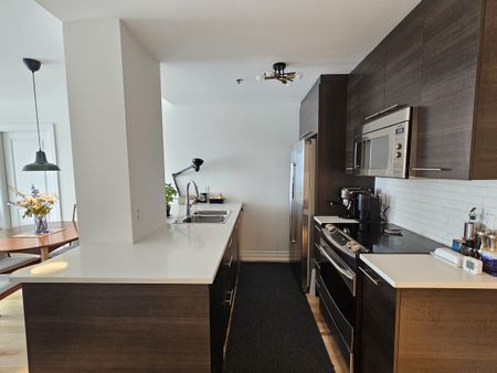 22 Rue Beaubien Est, #501 - Photo 5