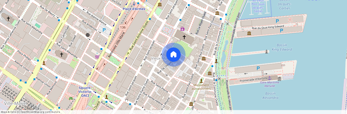 450 Rue Saint-François-Xavier, Ville-Marie, Ville-Marie, Ile de Montréal, H2Y 2T2