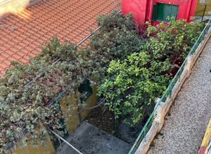 Κτίριο για ενοικίαση - Γκάζι - Μεταξουργείο - Βοτανικός, - Photo 3