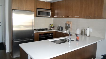 Furnished 1 Bd + Den Condo W/ Two Parking Stalls In Mission. - Photo 5