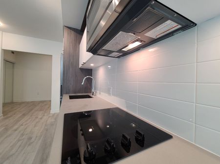 For Lease - 100 Dalhousie Street Unit# 217, Toronto, Ontario - Photo 5