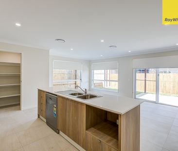 49 Yellowstone Circuit, Yarrabilba QLD 4207 - House For Rent | Domain - Photo 6