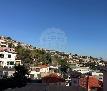 Apartamento T1 em Ilha da Madeira - Photo 3