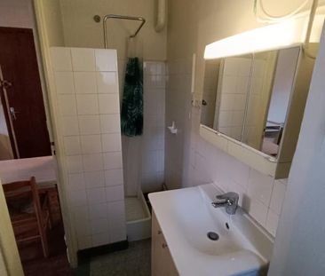 Location Appartement 1 pièce Meublé 18m² CHAMBERY 73000 - Photo 5