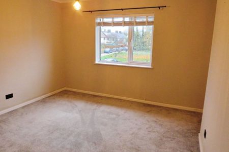 Chestnut Road - Photo 5