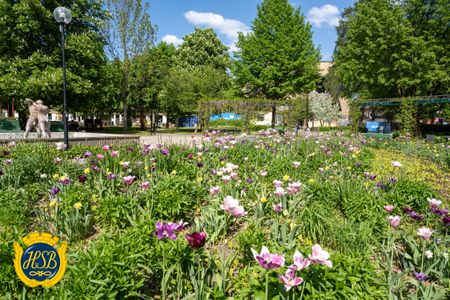 Parkgatan, Borlänge - Foto 5