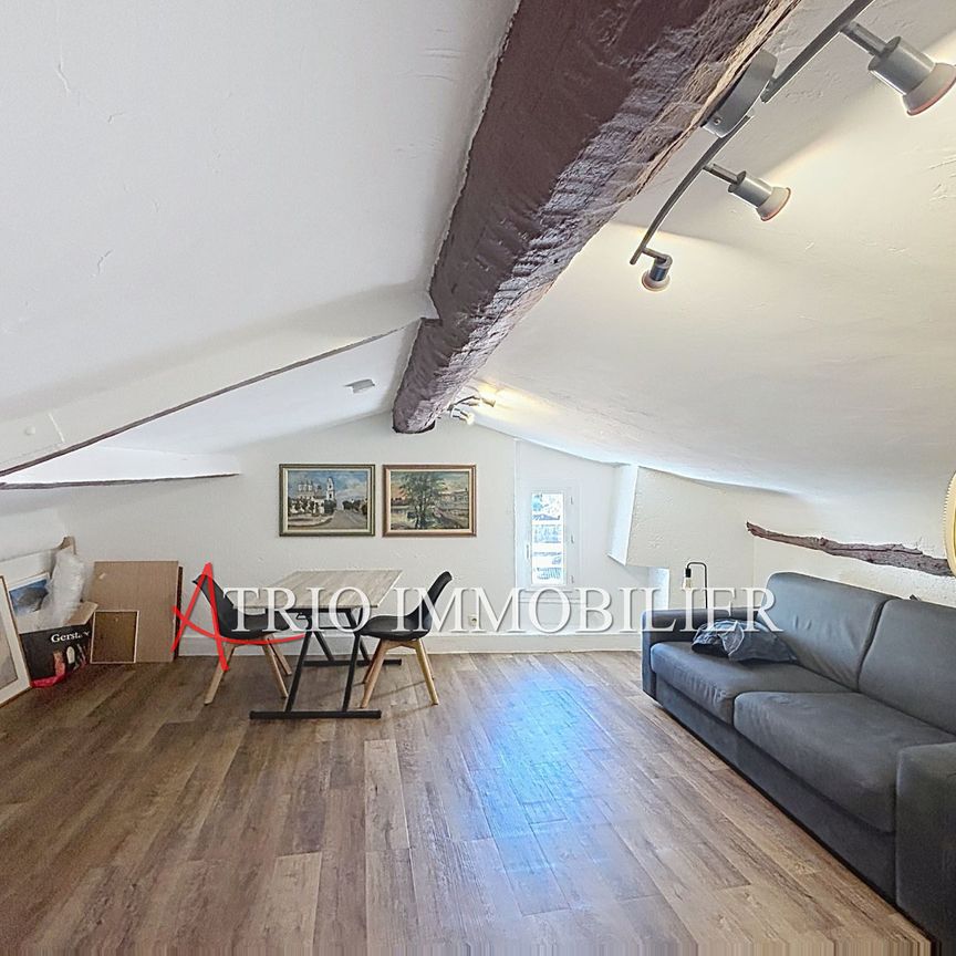 Location Appartement 1 pièce 22m² ST LAURENT DU VAR 06700 - Photo 1