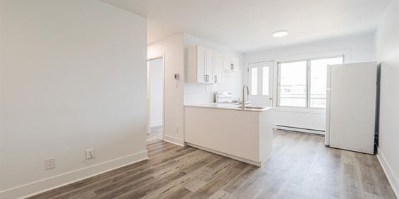 2-1/2 - 8281 Avenue Des Vendéens, Anjou - Photo 3
