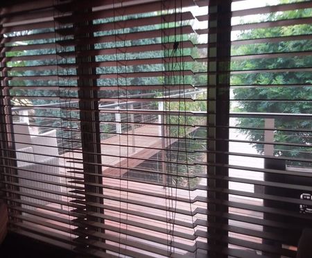 Winston Hills - Photo 3