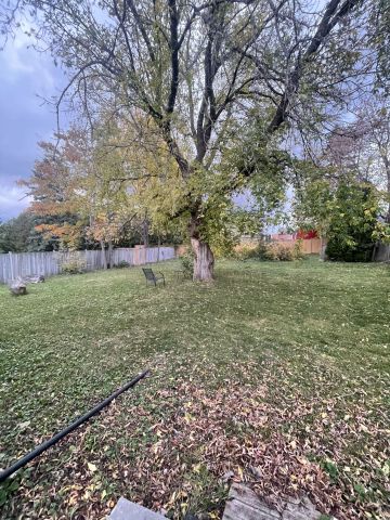 For Lease - 225 Cox Mill Road, Barrie, Ontario - Photo 4