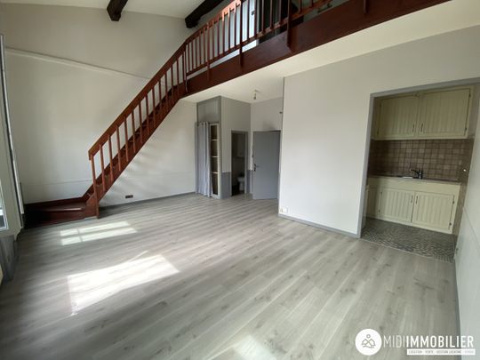 Location Appartement 1 pièce 46m² ALBI 81000 - Photo 1