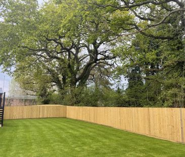 3 bedroom semi-detached house to rent - Photo 4