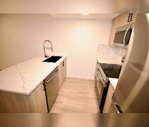 1 Bed 1 Bath Suite SE Edmonton Mattson - Photo 6