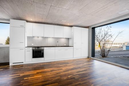 2.5 Zimmer, 53 m², EG - Foto 3