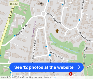 Alumhurst Road, Bournemouth, BH4 8EN - Photo 1