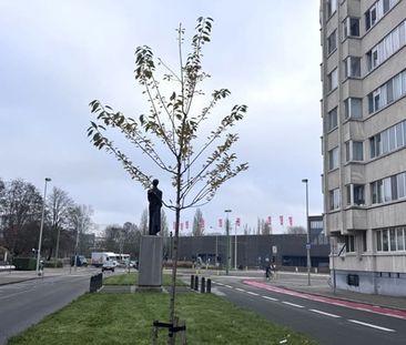 Appartement te huur - Photo 4