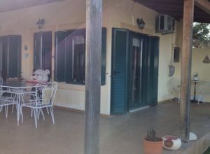 Μονοκατοικία για ενοικίαση - Ωρωπός, - Photo 4