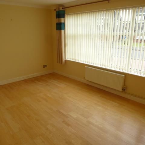 Silver Birch Drive - Photo 1