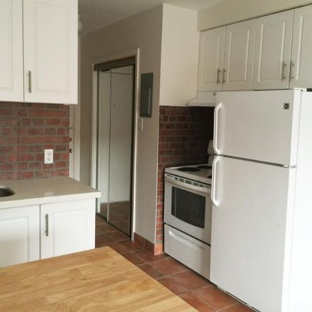 1 1/2 - Montréal (Le Plateau Mont-Royal) - 1 250 $/mois - Photo 3